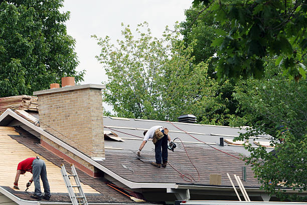 Roof Gutter Cleaning in Eucalyptus Hills, CA