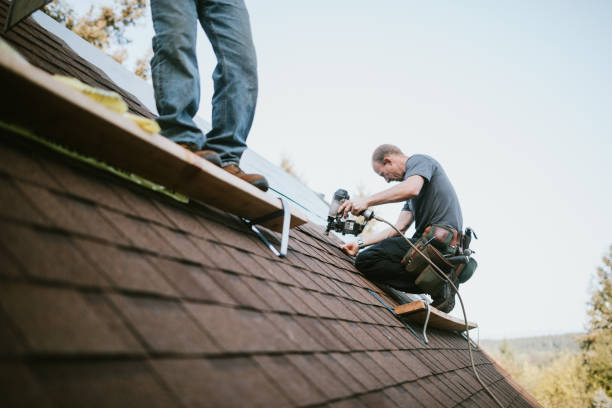 Quick and Trustworthy Emergency Roof Repair Services in Eucalyptus Hills, CA